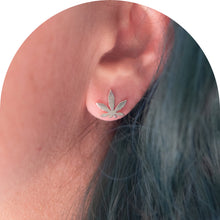 Load image into Gallery viewer, Canna Studs